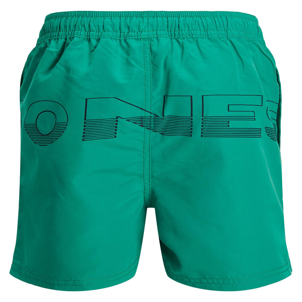 Jack & Jones JJBeach Swim Shorts Set